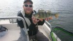 Rickard_Eckebring_2017_Perch_39_800